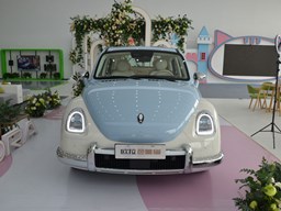 歐拉芭蕾貓外觀圖片