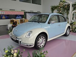 歐拉芭蕾貓外觀圖片