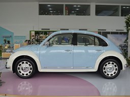 歐拉芭蕾貓外觀圖片