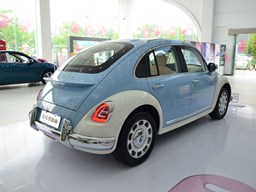 歐拉芭蕾貓外觀圖片