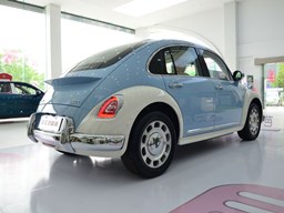 歐拉芭蕾貓外觀圖片