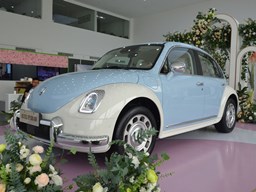 歐拉芭蕾貓外觀圖片