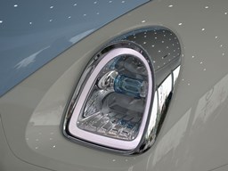 歐拉芭蕾貓細(xì)節(jié)圖片