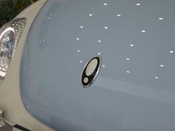 歐拉芭蕾貓細(xì)節(jié)圖片