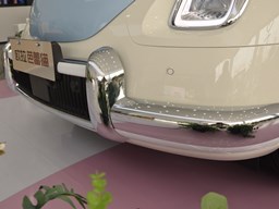 歐拉芭蕾貓細(xì)節(jié)圖片