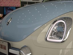 歐拉芭蕾貓細(xì)節(jié)圖片