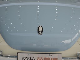 歐拉芭蕾貓細(xì)節(jié)圖片