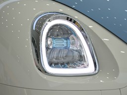 歐拉芭蕾貓細(xì)節(jié)圖片