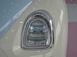 歐拉芭蕾貓細(xì)節(jié)圖片