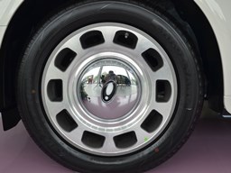 歐拉芭蕾貓細(xì)節(jié)圖片