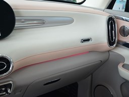 歐拉芭蕾貓內(nèi)飾圖片