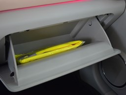 歐拉芭蕾貓內(nèi)飾圖片