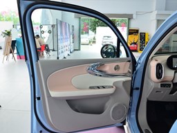 歐拉芭蕾貓內(nèi)飾圖片