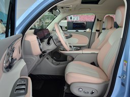 歐拉芭蕾貓內(nèi)飾圖片