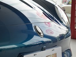 歐拉好貓細節(jié)圖片