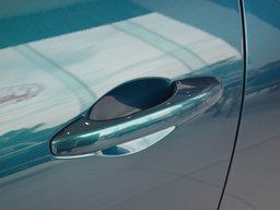 歐拉好貓細節(jié)圖片