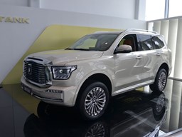 坦克500外觀圖片