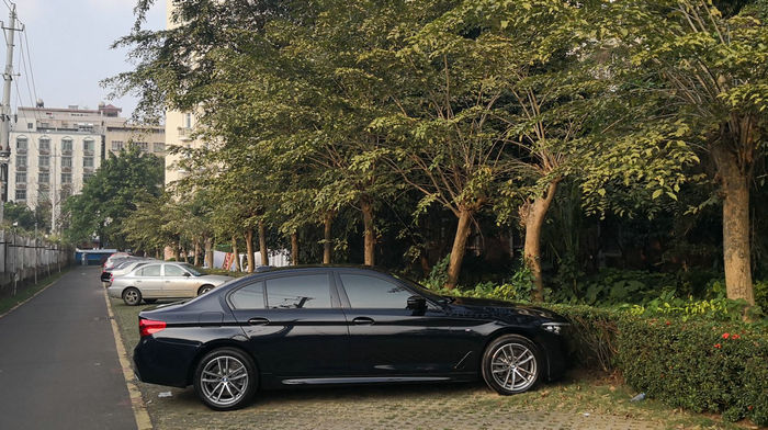 汽車(chē)停樹(shù)下好還是暴曬好