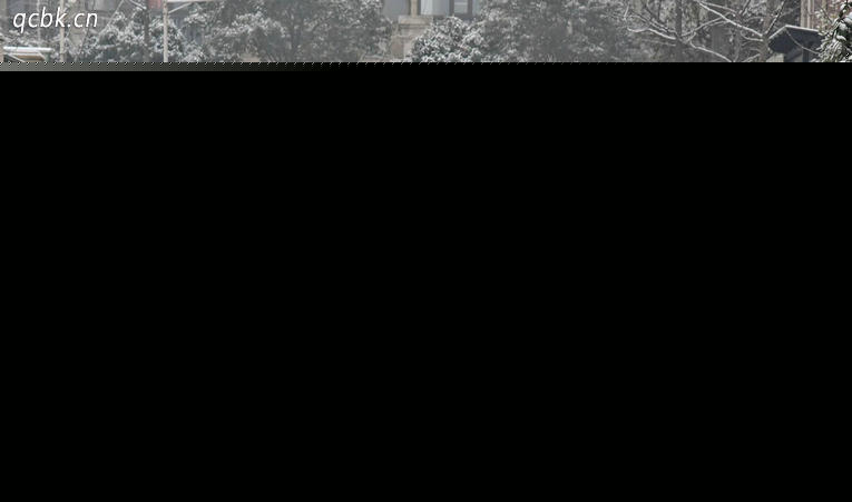 整車終身質(zhì)保是什么意思