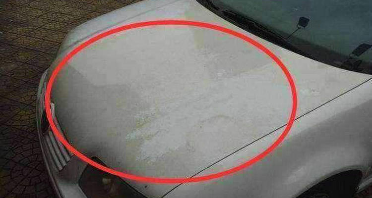 珍珠白車漆發(fā)黃怎么辦