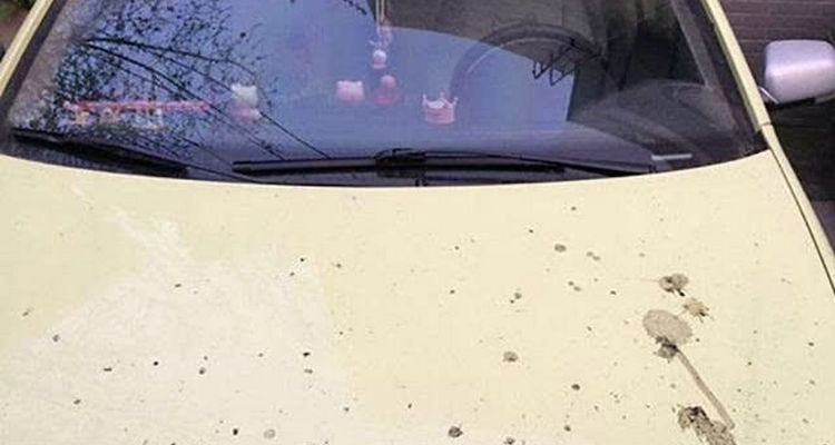 車漆上的黃點怎么去除