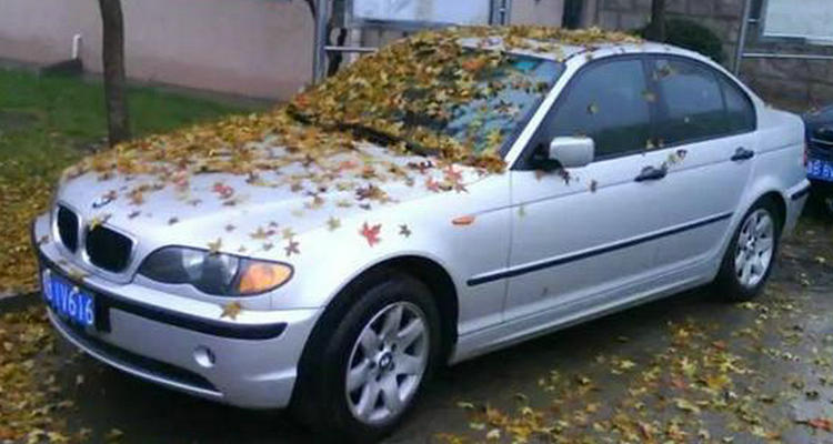 汽車(chē)放久了不開(kāi)會(huì)怎樣