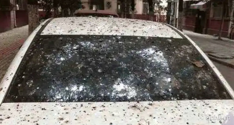 樹(shù)油滴在車上怎么去除 樹(shù)油滴在車上怎么辦