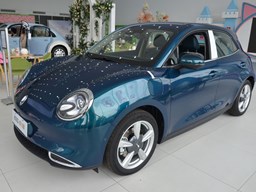 2022款 歐拉好貓外觀(guān)圖片