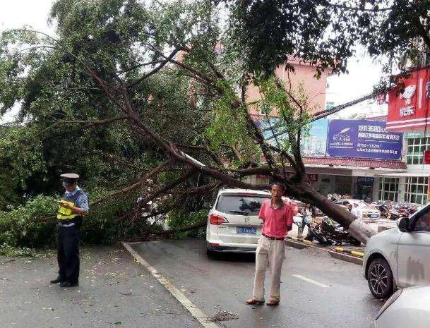 這3種車險(xiǎn)不要錢都別簽, 真出事一分錢不賠車主還得倒貼