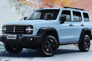 魏派300越野版多少錢 魏派300售價(jià)25萬(wàn)一輛(二手16萬(wàn))