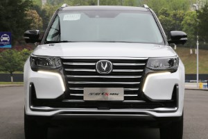 長安cs95輪胎尺寸是多少 輪胎尺寸255/50 r20(鄧祿普輪胎品牌)