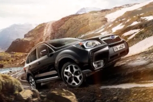 斯巴魯森林人怎么樣 油耗低、視野好、空間大、配置高（百公里7.8L）