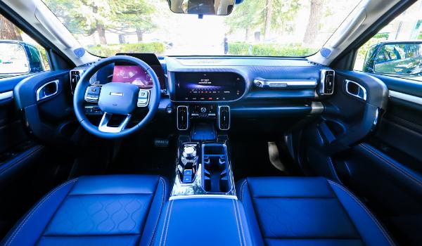 哈弗大狗兩款新車(chē)型上市,名為“中華田園犬”