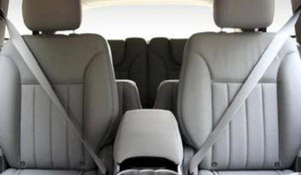 安全帶，生命帶（必須系好安全帶）