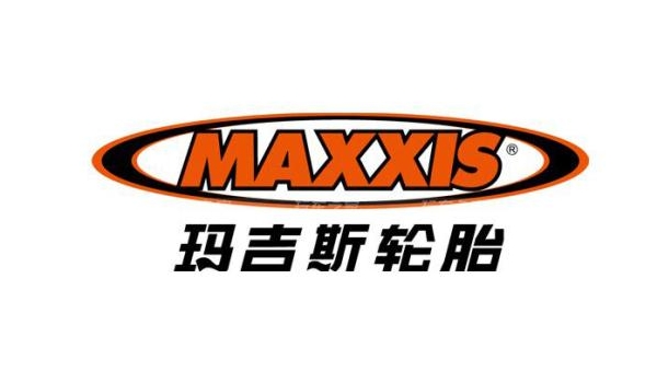 輪胎品牌排行榜前十名 米其林輪胎高居榜首（舒適靜音無(wú)所能及）