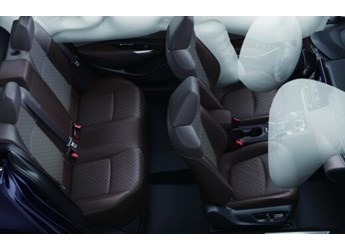 數(shù)九寒天如何安穩(wěn)過(guò)冬？全能亞洲獅送您“四不怕”