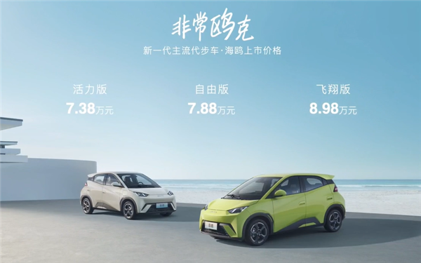7.38萬起！比亞迪海鷗正式上市 續(xù)航最高可達(dá)405km