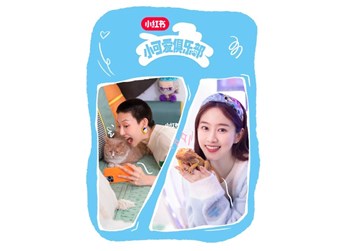 高舉「寵物友好」大旗,小紅書攜上海大眾Polo用可愛力量俘獲年輕人