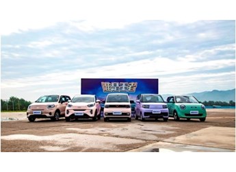 奇瑞新能源汽車兩款車型分別獲得“電動(dòng)汽車小車王”